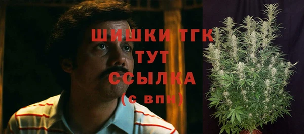не бодяженный Няндома