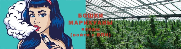 не бодяженный Няндома
