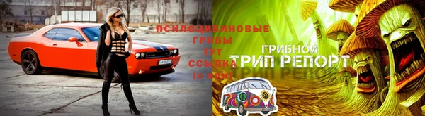 не бодяженный Няндома